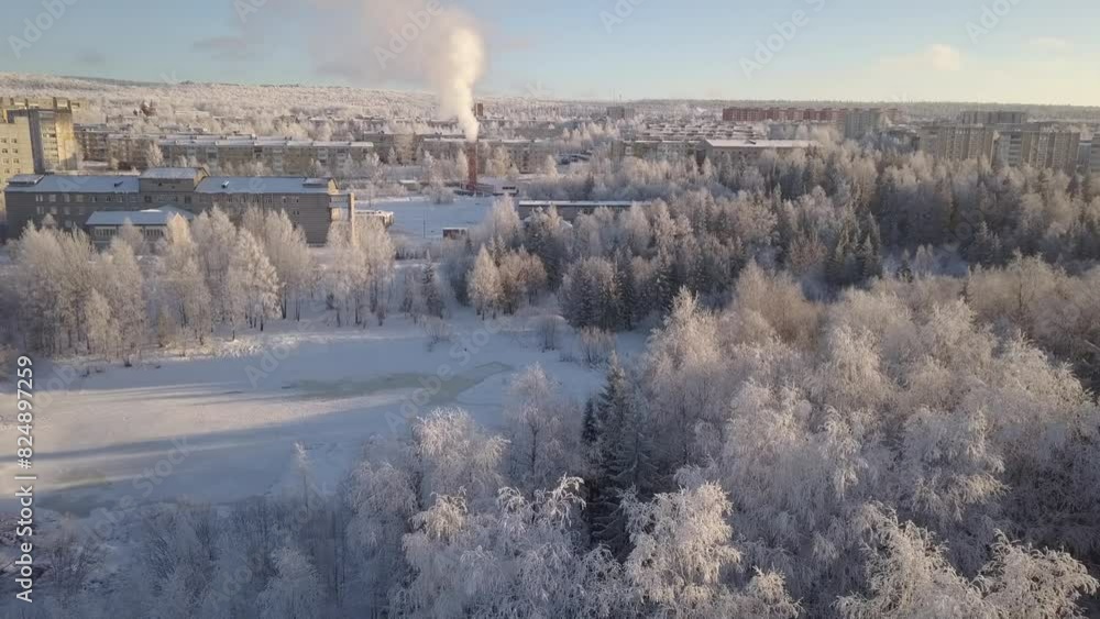 Snowy forest with city in background seen from the sky Snowy forest with city in background seen from the sky