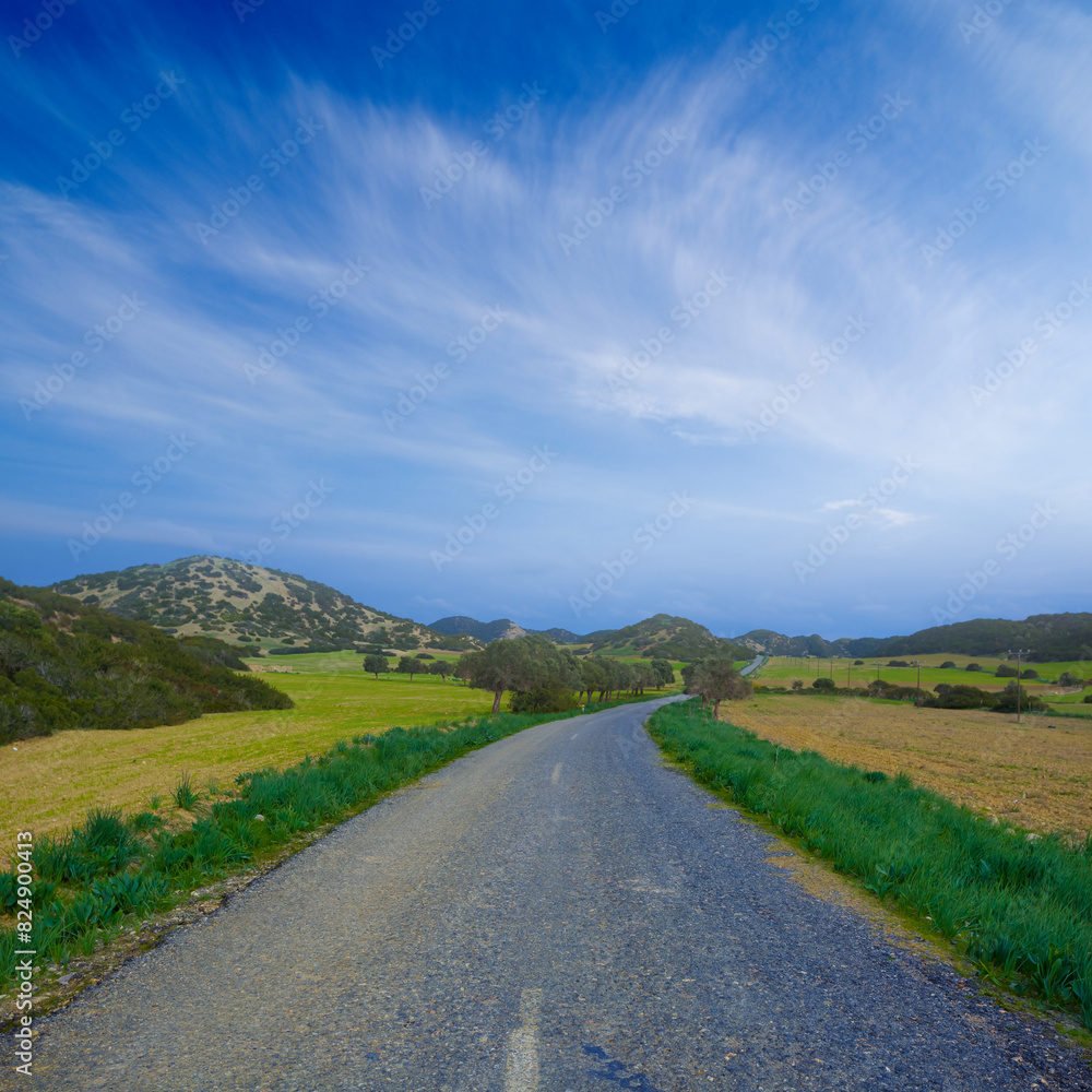 Fototapeta premium long asphalt road among green fields