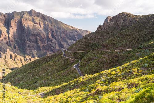 winding road in the mountains in Tenerife, Masca 