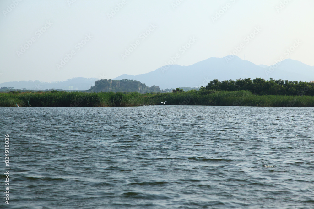 View of the lake with the grasses
