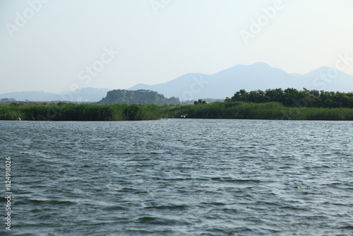 View of the lake with the grasses