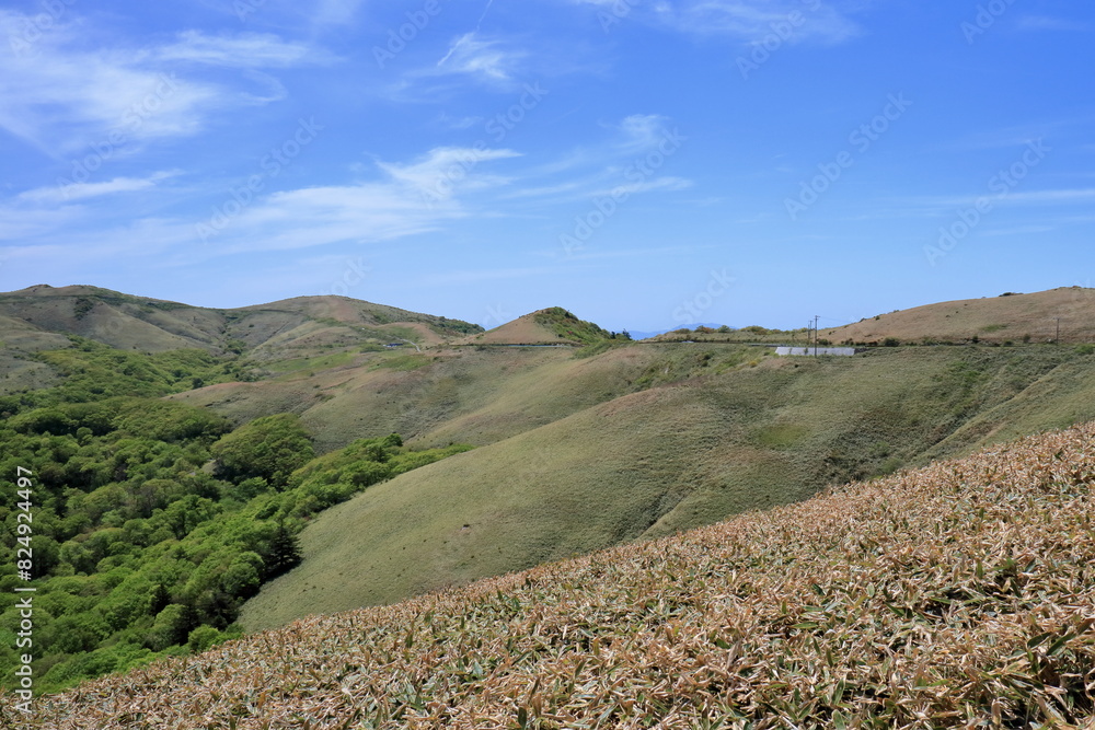 大川嶺連峰の稜線を眺める 初夏 (愛媛県 四国カルスト) 大川嶺連峰の稜線を眺める 初夏 (愛媛県 四国カルスト)