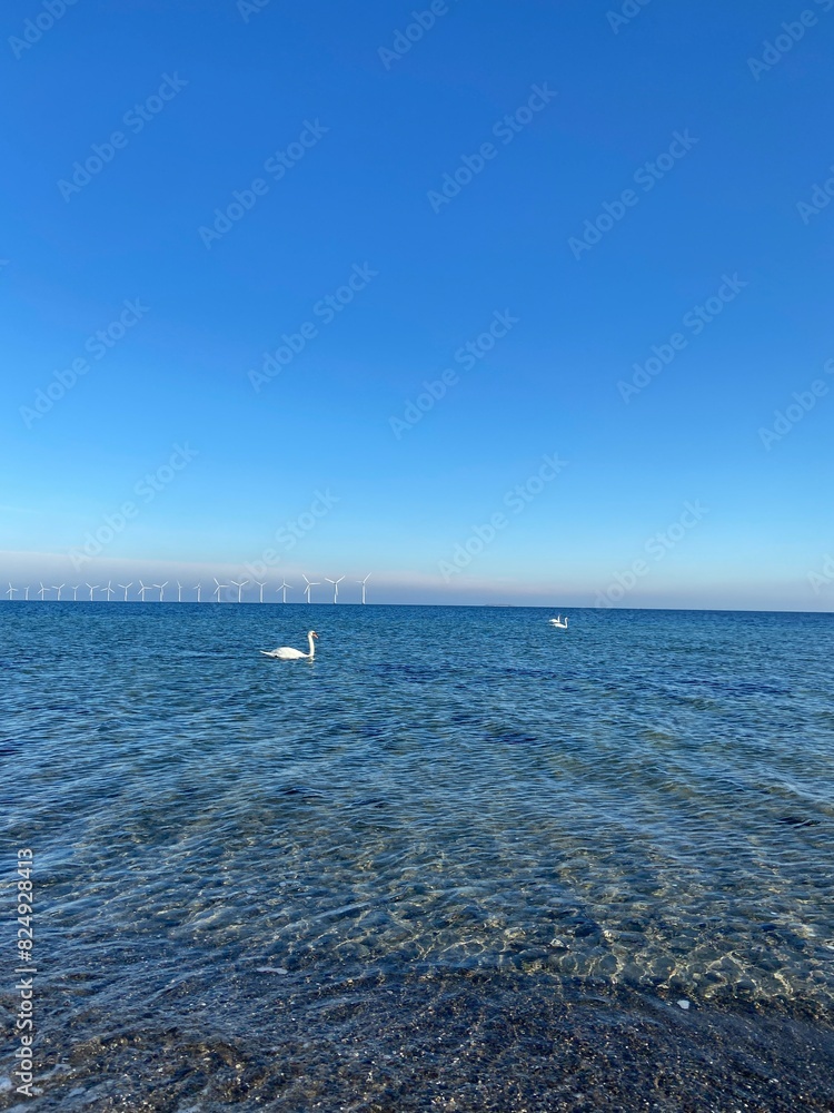 Obraz premium sea and sky