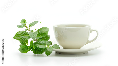 A white ceramic cup of coffee and green cactus on white table in a modern coffee shop, isolated on white background ,White mug and saucer on a white background, near palm leaves