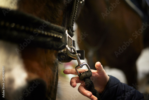 Cropped hand of girl holding bridle of horse in stable photo