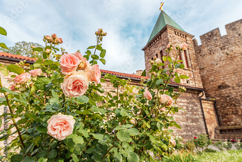 Kalemegdan's Ruzica Church in Belgrade, surrounded by blossoming roses, is a serene sight to behold in spring, blending religious heritage with natural beauty within the fortress walls. photo