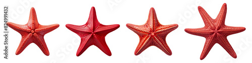 Collection set of red starfishes isolated on transparent background photo