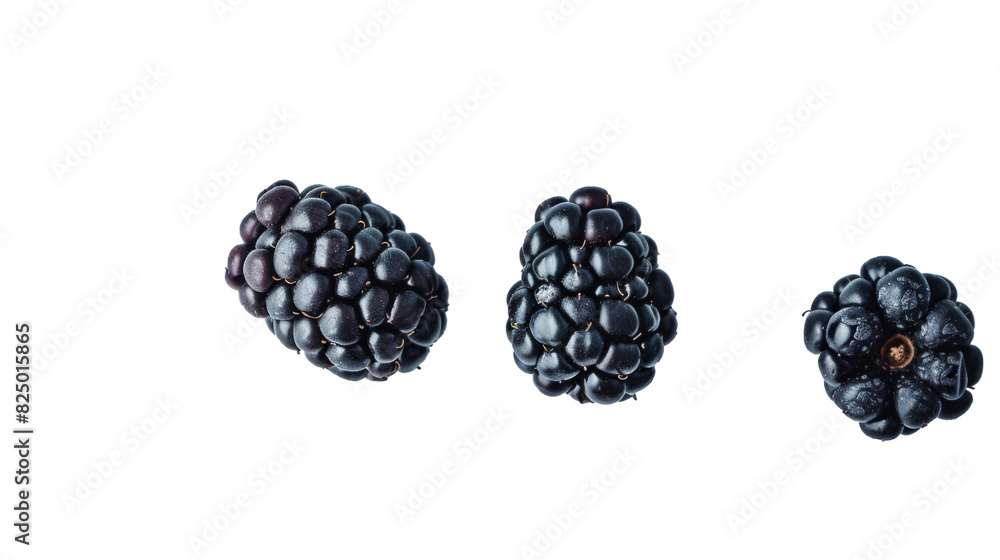 Several ripe blackberries arranged neatly on a plain white background Several ripe blackberries arranged neatly on a plain white background