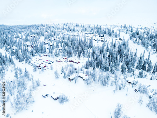 Small town with trees covered in snow photo