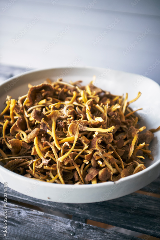 High angle view of fresh yellow mushrooms in bowl on table High angle view of fresh yellow mushrooms in bowl on table