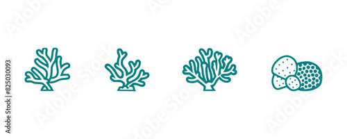 
Tropical coral artwork