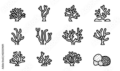 
Underwater reef graphics