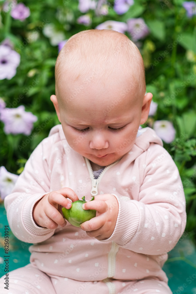happy child girl holding tomatoes on background of green plants happy child girl holding tomatoes on background of green plants