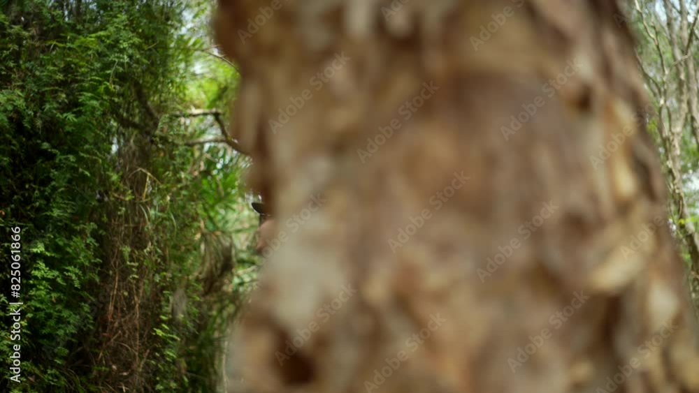 Confident young asian man traveling and walking through botanic natural forest in summer, young joyful male relaxing on vacation, concept of people enjoy outdoor lifestyle Confident young asian man traveling and walking through botanic natural forest in summer, young joyful male relaxing on vacation, concept of people enjoy outdoor lifestyle