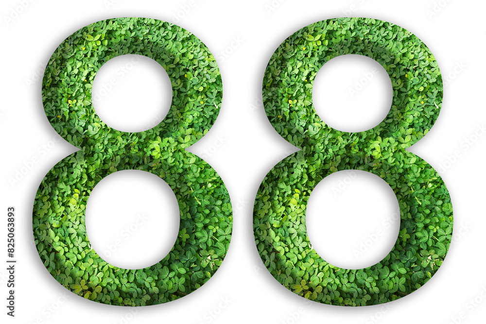 3d of the number of 88 is made from green grass on white background, go green concept 3d of the number of 88 is made from green grass on white background, go green concept