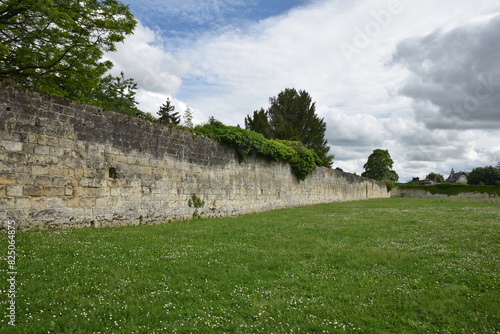 Murs de l'abbaye Saint-Jean-des-Vignes à Soissons. France