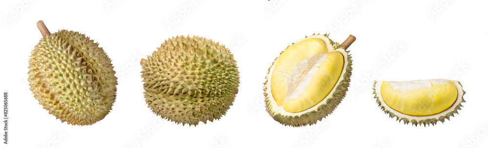 Durian isolated on white background Durian isolated on white background