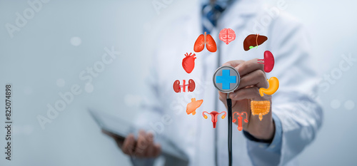 Full medical check-up all body organs concept.Complex health checkup of brain, heart, digestive system, lungs, bladder, and intestine. photo