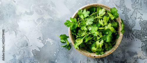 Fresh coriander in a kitchen bowl