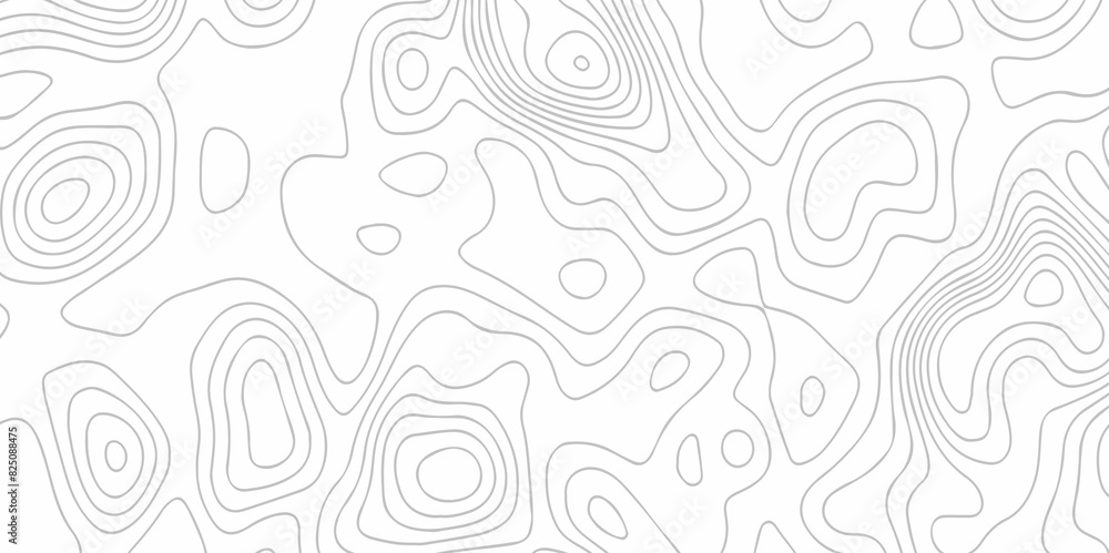 Fototapeta premium Abstract pattern with lines seamless pattern and topography map and counter map. abstract sea map and mounted map area space geometrics line technology topo landscape grid map texture.