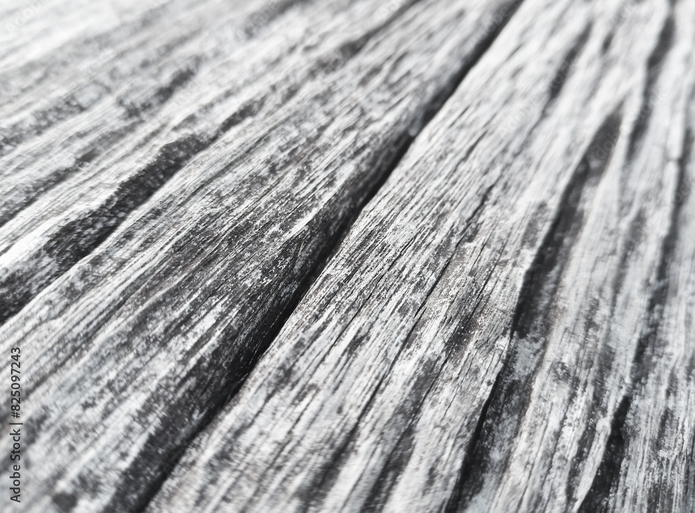 wood texture image suitable for background. wood texture image suitable for background.