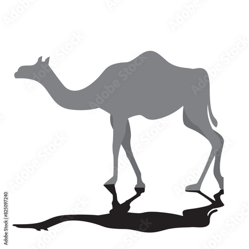 Camel Vector Illustration  Camel Vector Element  Camel Vector Silhouette