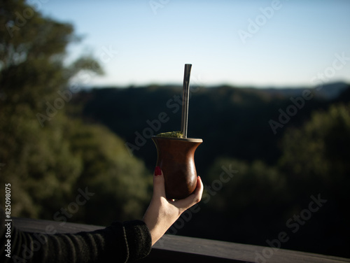 Erva Mate - Chimarrão - Gaúcho