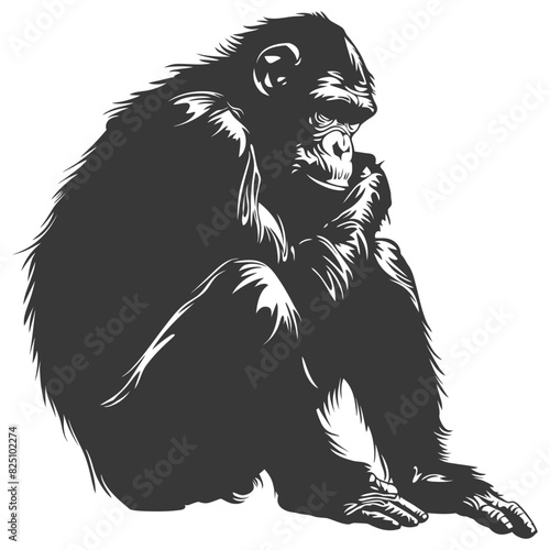 Wallpaper Mural Silhouette Chimpanzee animal black color only Torontodigital.ca