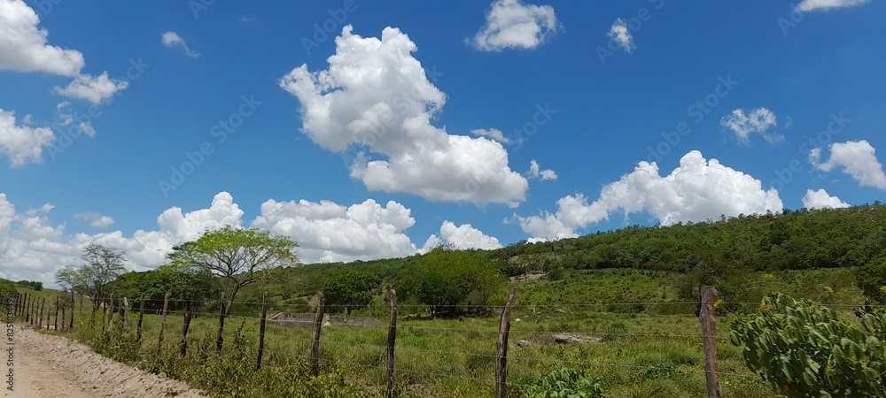 Fototapeta premium Paisagem