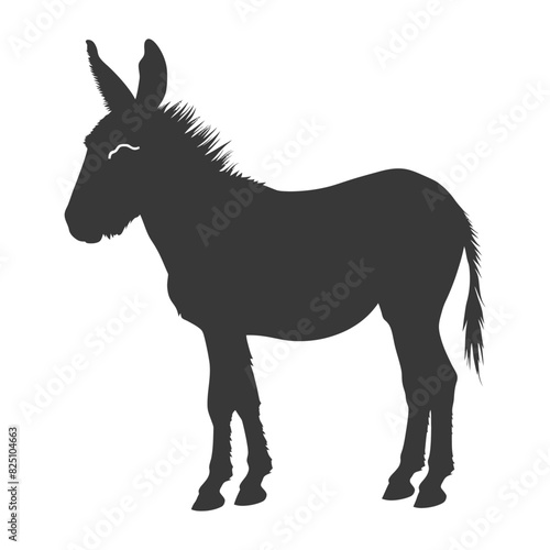 Silhouette donkey animal black color only