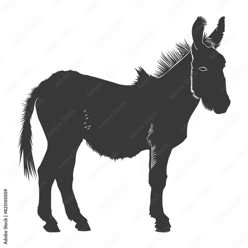 Silhouette donkey animal black color only Silhouette donkey animal black color only