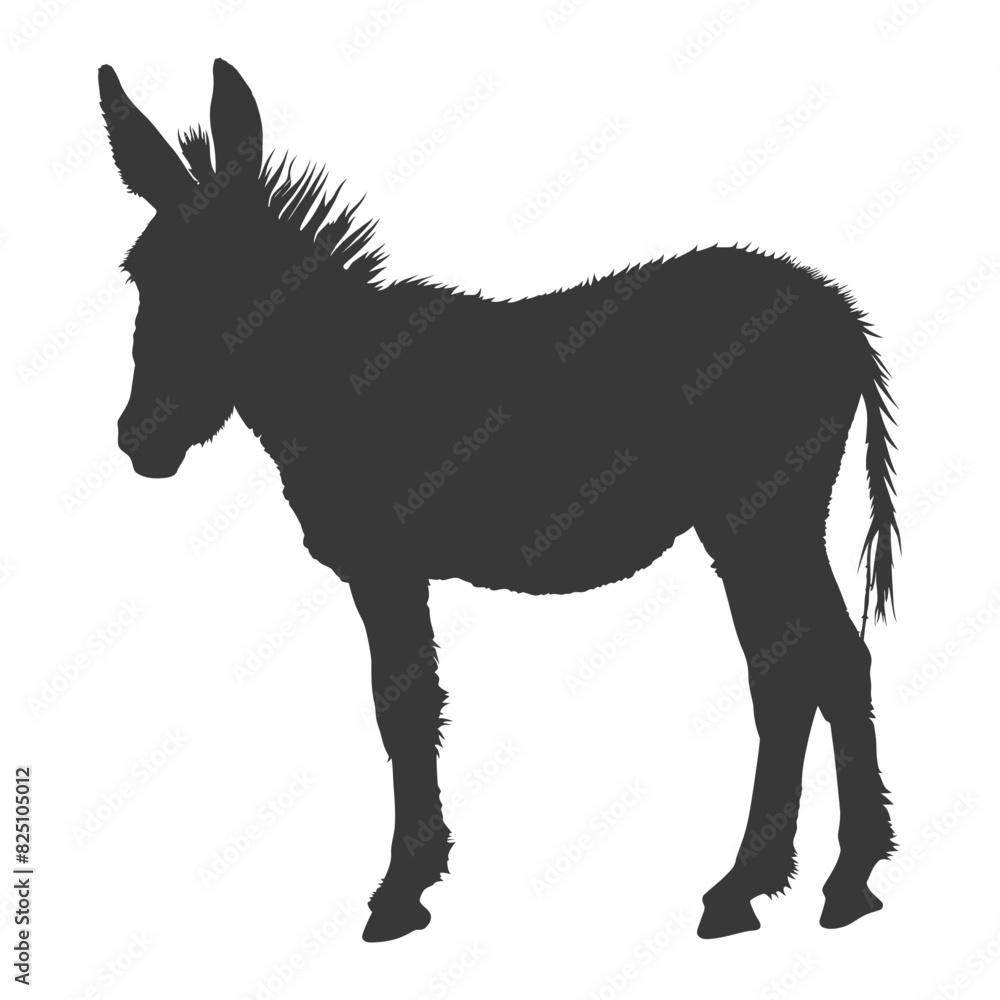 Silhouette donkey animal black color only