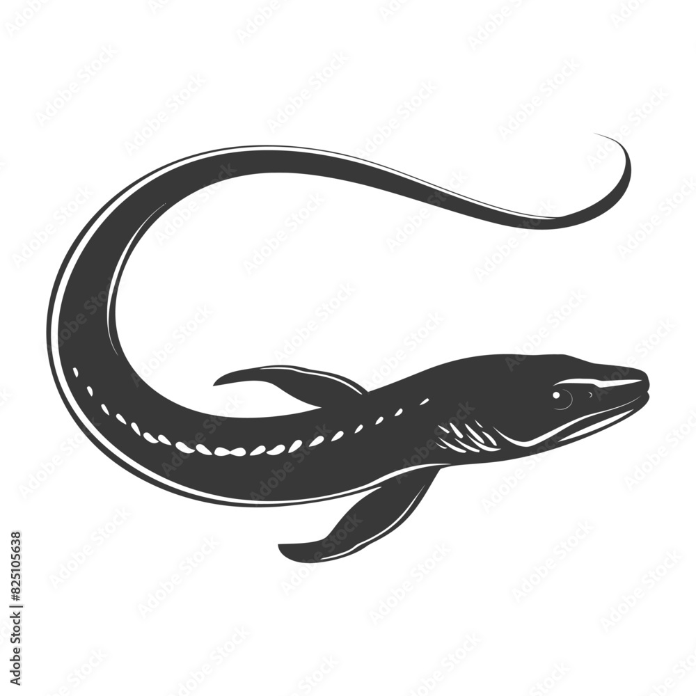 Fototapeta premium Silhouette eel animal black color only