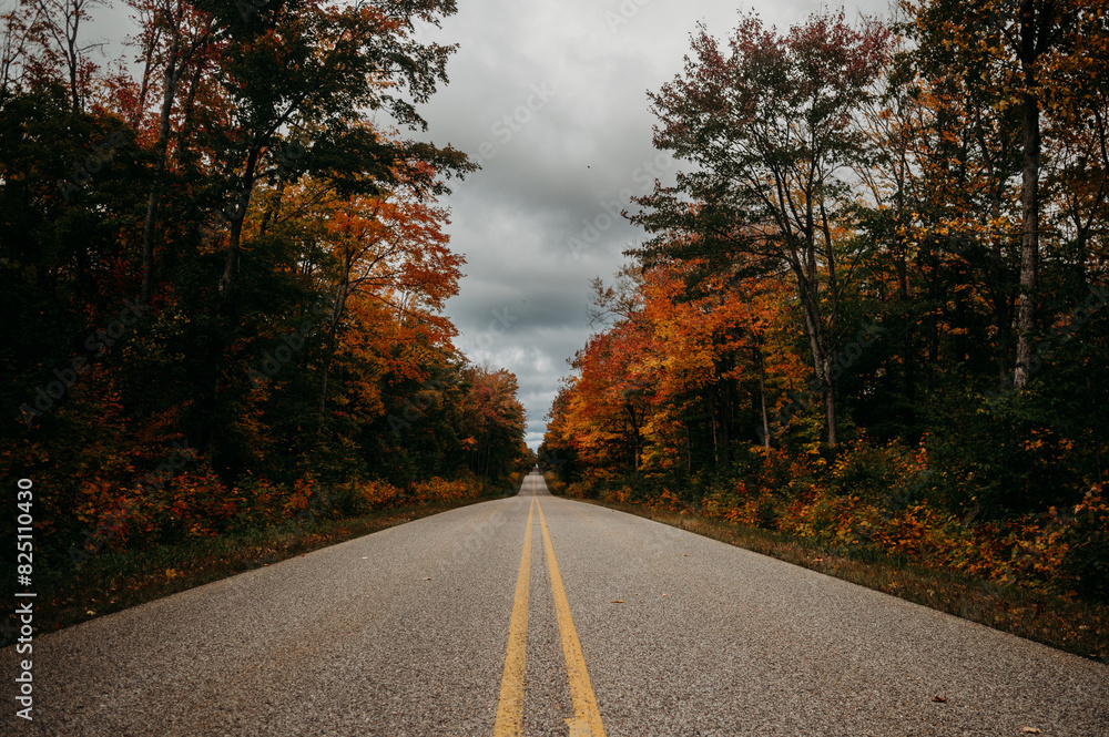 Fototapeta premium Autumn 