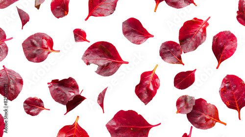 Red leaves are suspended in the air, drifting gracefully as they move collectively and dance in the wind