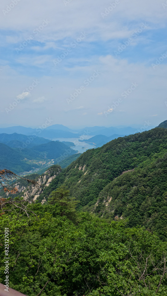 A mountain range with a lake in the distance. The sky is clear and blue. The mountains are covered in trees and the lake is calm