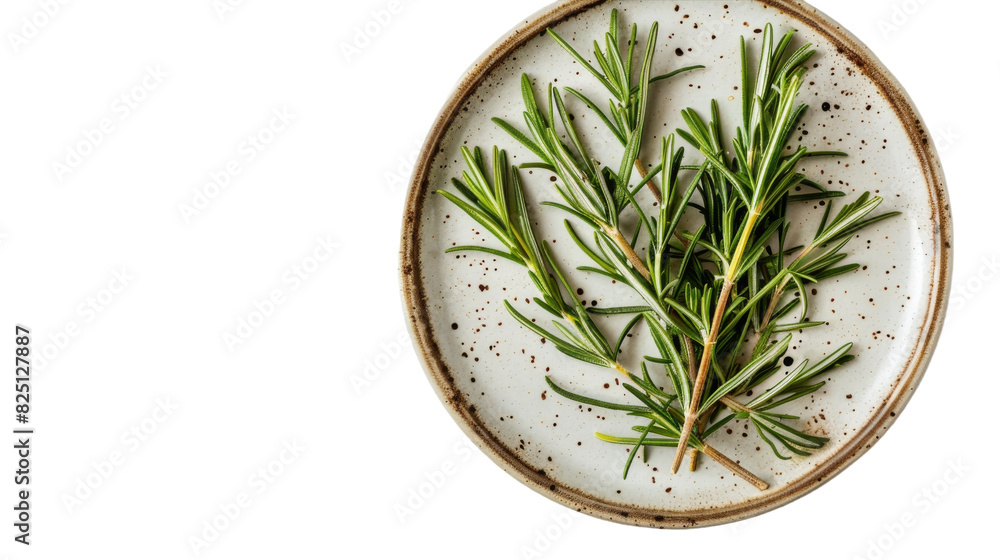 A white plate with a single vibrant sprig of rosemary placed on it A white plate with a single vibrant sprig of rosemary placed on it