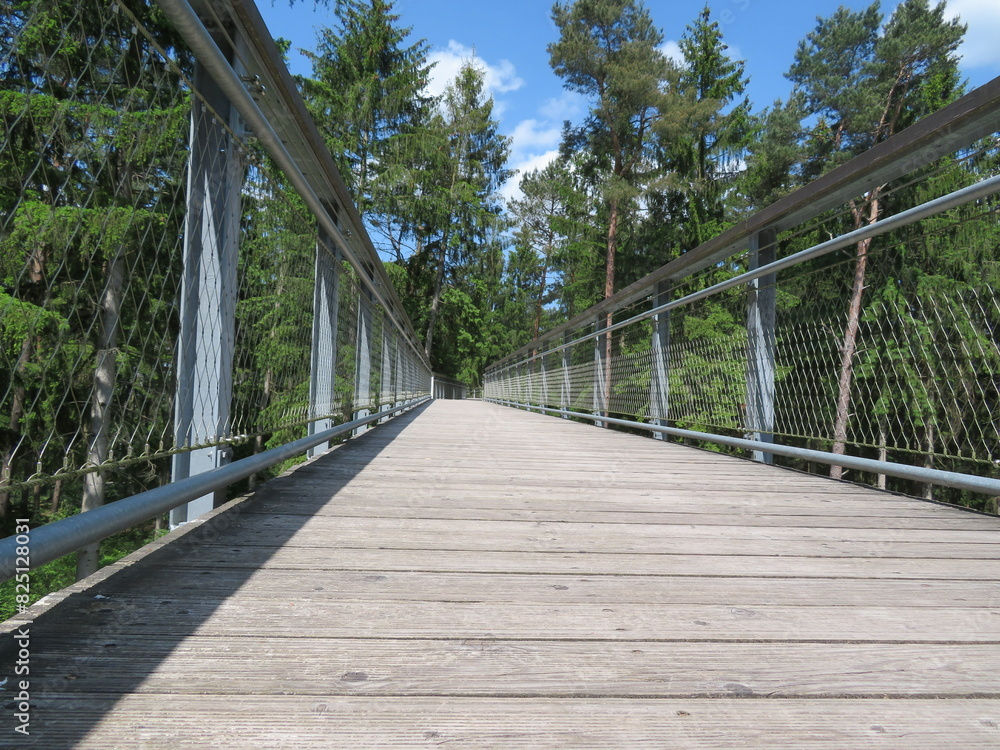 Obraz premium Baumwipfelpfad