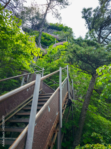 A staircase is shown in a forest with trees and leaves. The stairs are made of metal and wood, and they are surrounded by greenery. Concept of adventure and exploration
