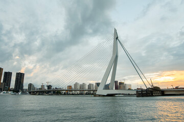 Fototapete Erasmusbrücke Rotterdam Skyline Maas im Abendlicht  © Lizaveta