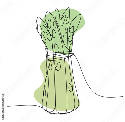 Asparagus Bunch sketch One Continuous line drawing art illustration with Abstract Color Shapes. Vector Illustration on White background. Organic Green Vegetable, Cooking book, Card, Logo, Poster.