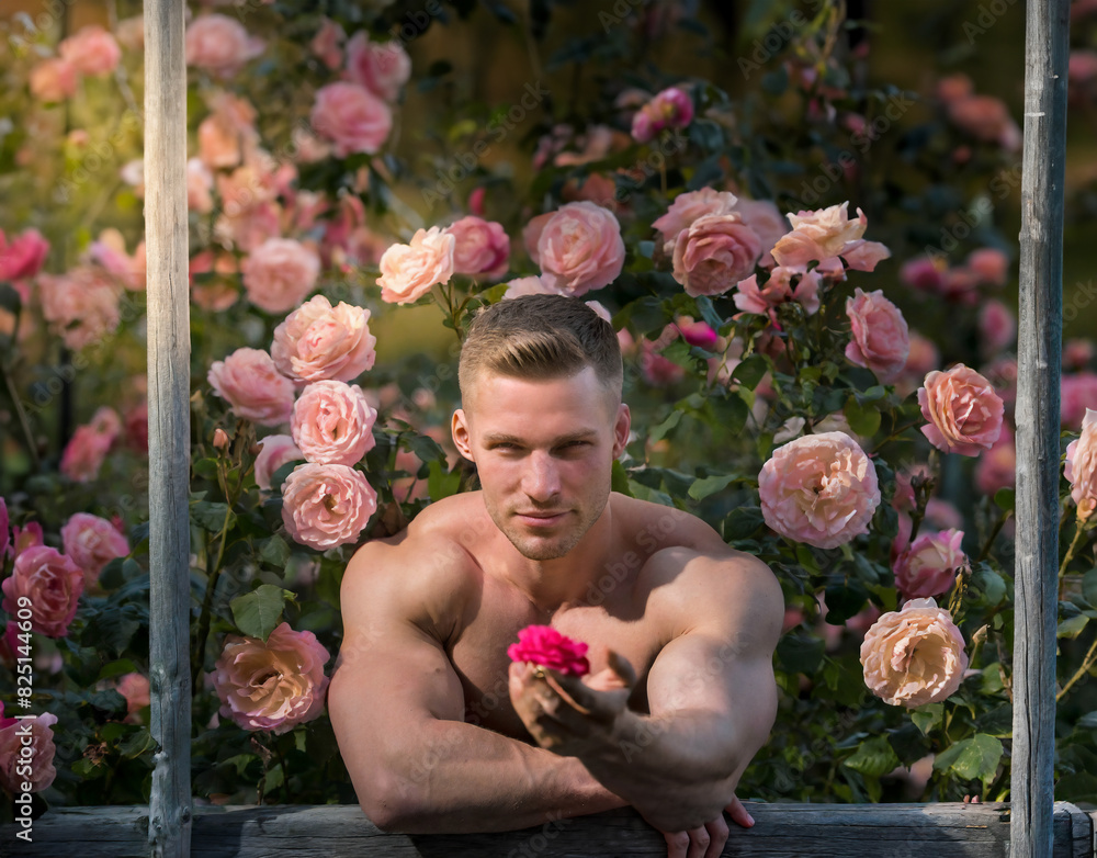 Fototapeta premium Muscular blond Fitness model Hunk man in the Rose Garden holding a flower