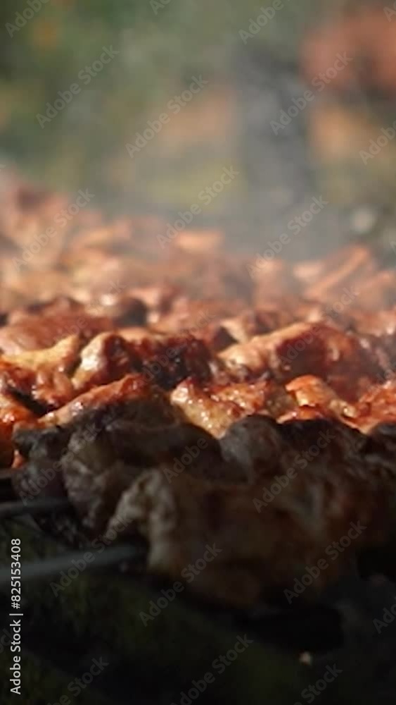 Delicious appetizing steak meat is fried outside on fire and smoke. Shish kebab on the grill on a summer vacation in nature with friends. Barbecue grill with smoke on coals Delicious appetizing steak meat is fried outside on fire and smoke. Shish kebab on the grill on a summer vacation in nature with friends. Barbecue grill with smoke on coals