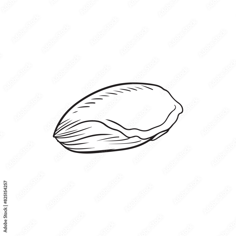 Closed delicious oyster shell in black isolated on white background. Hand drawn vector sketch illustration in doodle vintage engraved style. Fresh seafood, nutritious, French cuisine, delicacy Closed delicious oyster shell in black isolated on white background. Hand drawn vector sketch illustration in doodle vintage engraved style. Fresh seafood, nutritious, French cuisine, delicacy