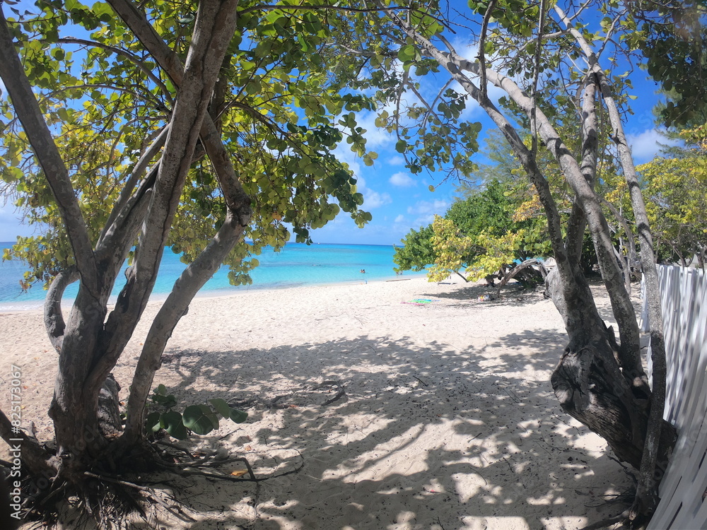 Cemetary beach in West Bay, Grand Cayman, Cayman Islands with white sand pristine turquoise water of the Caribbean sea Cemetary beach in West Bay, Grand Cayman, Cayman Islands with white sand pristine turquoise water of the Caribbean sea