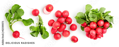 Red radish green leaves bunch collection isolated on white background. © ifiStudio