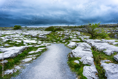 The Burren, limestone pavement in karstic geopark in county Clare, Ireland