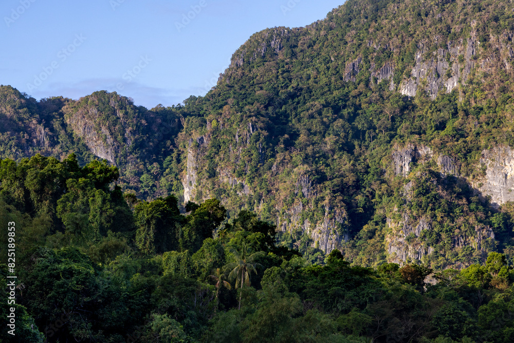 Rainforest and cliffs Rainforest and cliffs