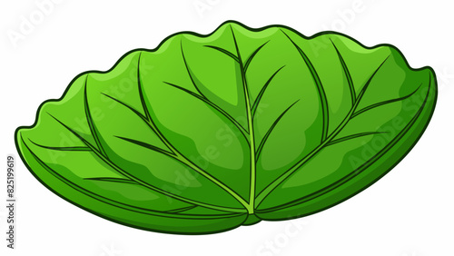 A large thick leaf with a velvety texture and deep shades of green ideal for shading a hot summer day.. Cartoon Vector.