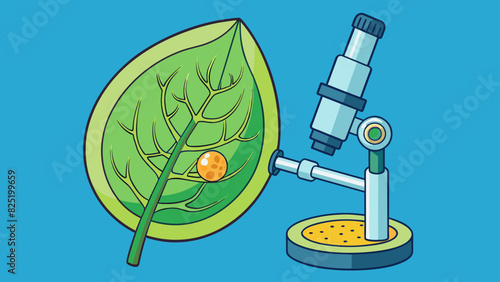 A leaf from a plant is observed under a microscope revealing its intricate network of s that carry water and nutrients throughout the plant. The. Cartoon Vector.